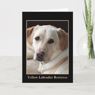 Carte de voeux jaune de labrador retriever (blanc)