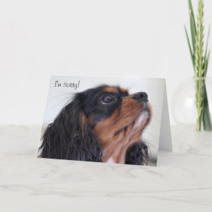 Carte de voeux - je suis désolé