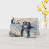 Carte de voeux : Joyeux anniversaire/étroit vos (Fleur jaune)