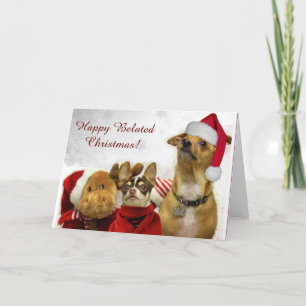 Carte de voeux Joyeux Belated Christmas Chihuahuas