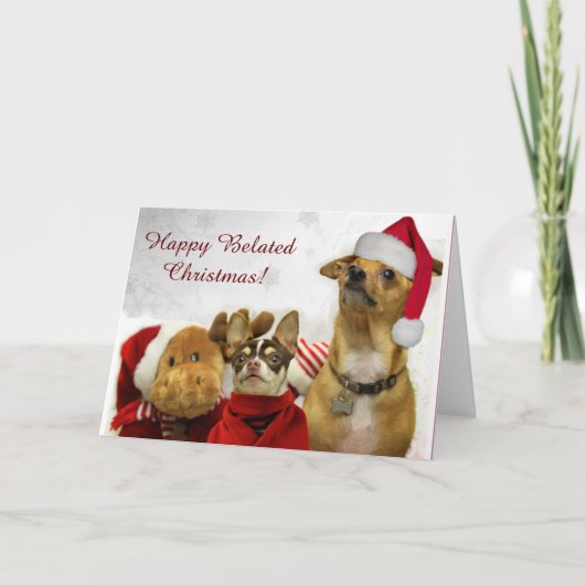 Carte de voeux Joyeux Belated Christmas Chihuahuas (Devant)
