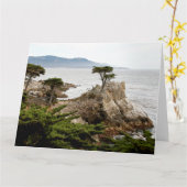Carte de voeux Jumbo CYPRESS LONE (Fleur jaune)