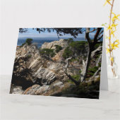 Carte de voeux Jumbo MONTEREY BAY (Fleur jaune)