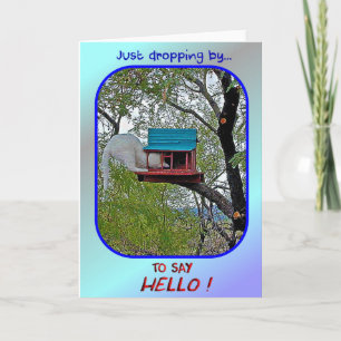 Carte de voeux "Just Drby to Say Hello"