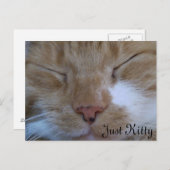 Carte de voeux Just Kitty (Devant / Derrière)