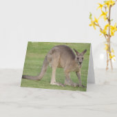 Carte de voeux Kangaroo (Fleur jaune)