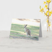 Carte de voeux Kangaroo (Fleur jaune)