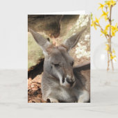Carte de voeux Kangaroo (Fleur jaune)