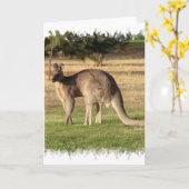 Carte de voeux Kangaroo (Fleur jaune)