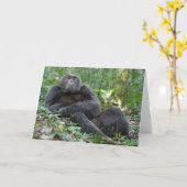Carte de voeux Kibale Chimpanzee - "Lanjo" (Fleur jaune)