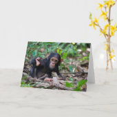 Carte de voeux Kibale Chimpanzee - Quiver (Fleur jaune)