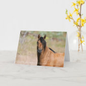 Carte de voeux Kiger Stallion (Fleur jaune)