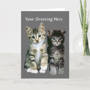 Carte de voeux Kittens