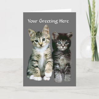 Carte de voeux Kittens