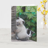 Carte de voeux Kittens (Fleur jaune)