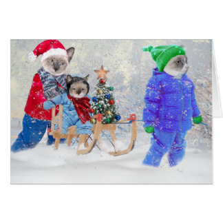 Carte de voeux Kittens Winter Wonderland
