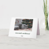 carte de voeux kitty (Dos)