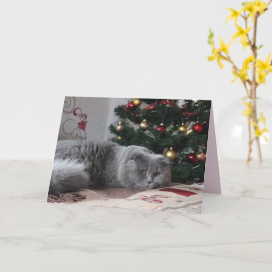 carte de voeux kitty (Fleur jaune)