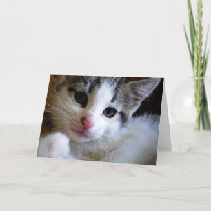Carte de voeux Kitty