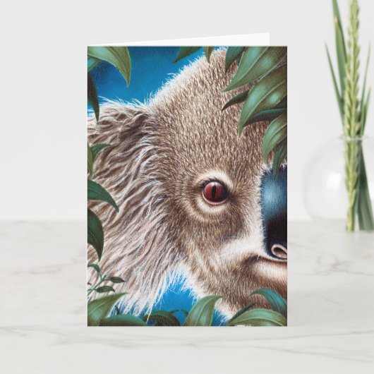 Carte de voeux Koala (Devant)