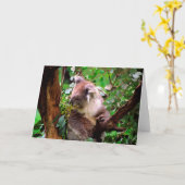 Carte de voeux Koala Bear (Fleur jaune)