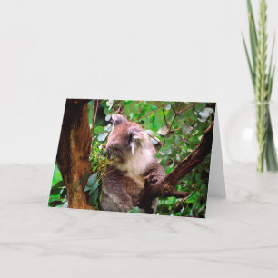Carte de voeux Koala Bear