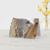 Carte de voeux Koala couché (Fleur jaune)