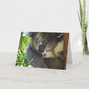 Carte de voeux Koala décontractée