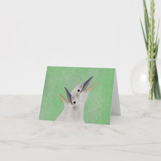 Carte de voeux Kookaburra (Devant)