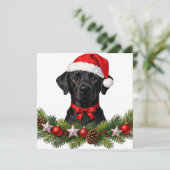 Carte de vœux Labrador (Debout devant)