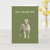 Carte de voeux Labrador Retriever (Fleur jaune)