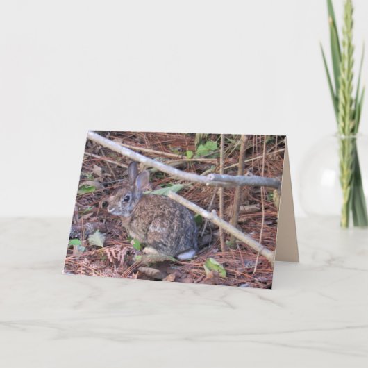 Carte de voeux lapin lapin (Devant)