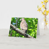 carte de voeux Large-à ailes de faucon, intérieur (Fleur jaune)