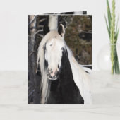 Carte de vœux - Le regard de la gitane (Devant)