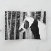 Carte de vœux - Le regard de la gitane (Intérieur)