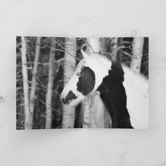 Carte de vœux - Le regard de la gitane (Intérieur)