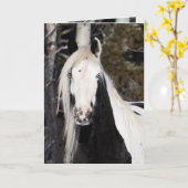 Carte de vœux - Le regard de la gitane (Fleur jaune)