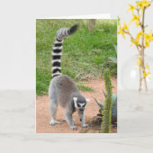 Carte de voeux Lemur (Fleur jaune)