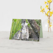 Carte de voeux Lemur (Fleur jaune)