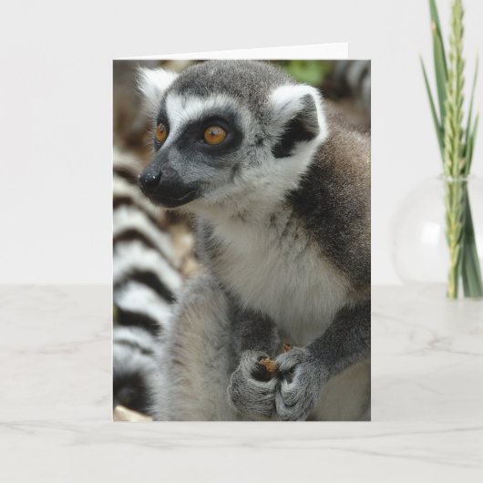 Carte de voeux Lemur Monkey (Devant)