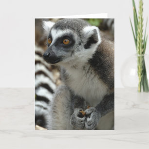 Carte de voeux Lemur Monkey