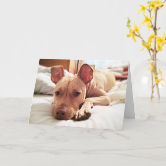 Carte de voeux Leon pliée (Fleur jaune)