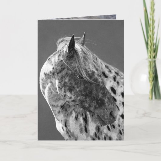Carte de voeux Leopard Appaloosa Horse (Devant)