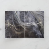 Carte de voeux Leopard Appaloosa Horse (Intérieur)