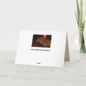 carte de voeux leopard kitty (Dos)