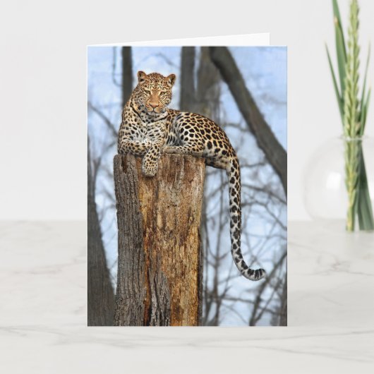 Carte de voeux Leopard on Watch (Devant)