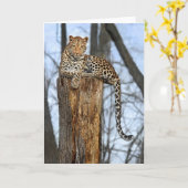 Carte de voeux Leopard on Watch (Fleur jaune)