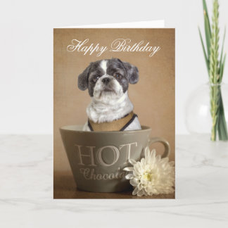 Carte de voeux Lhasa apso