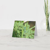 Carte de vœux libellule bleue (Devant)
