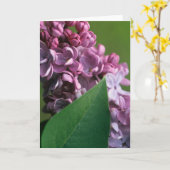 Carte de voeux lilas effarouchée (Fleur jaune)